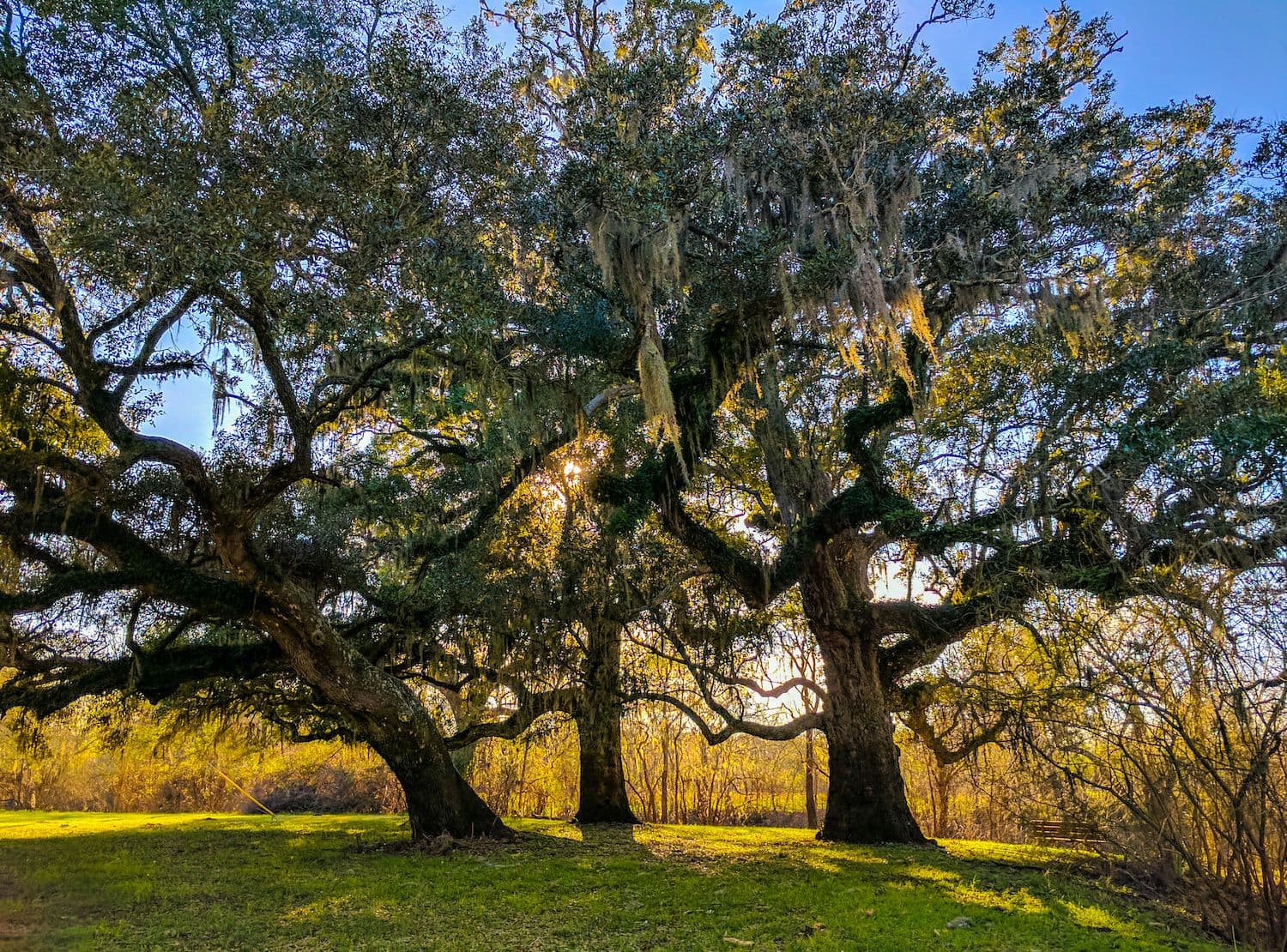Industrial and Commercial General Contractors in Magnolia, Texas | Inner Loop Construction